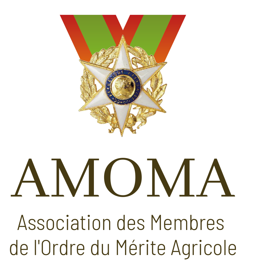 logo amoma